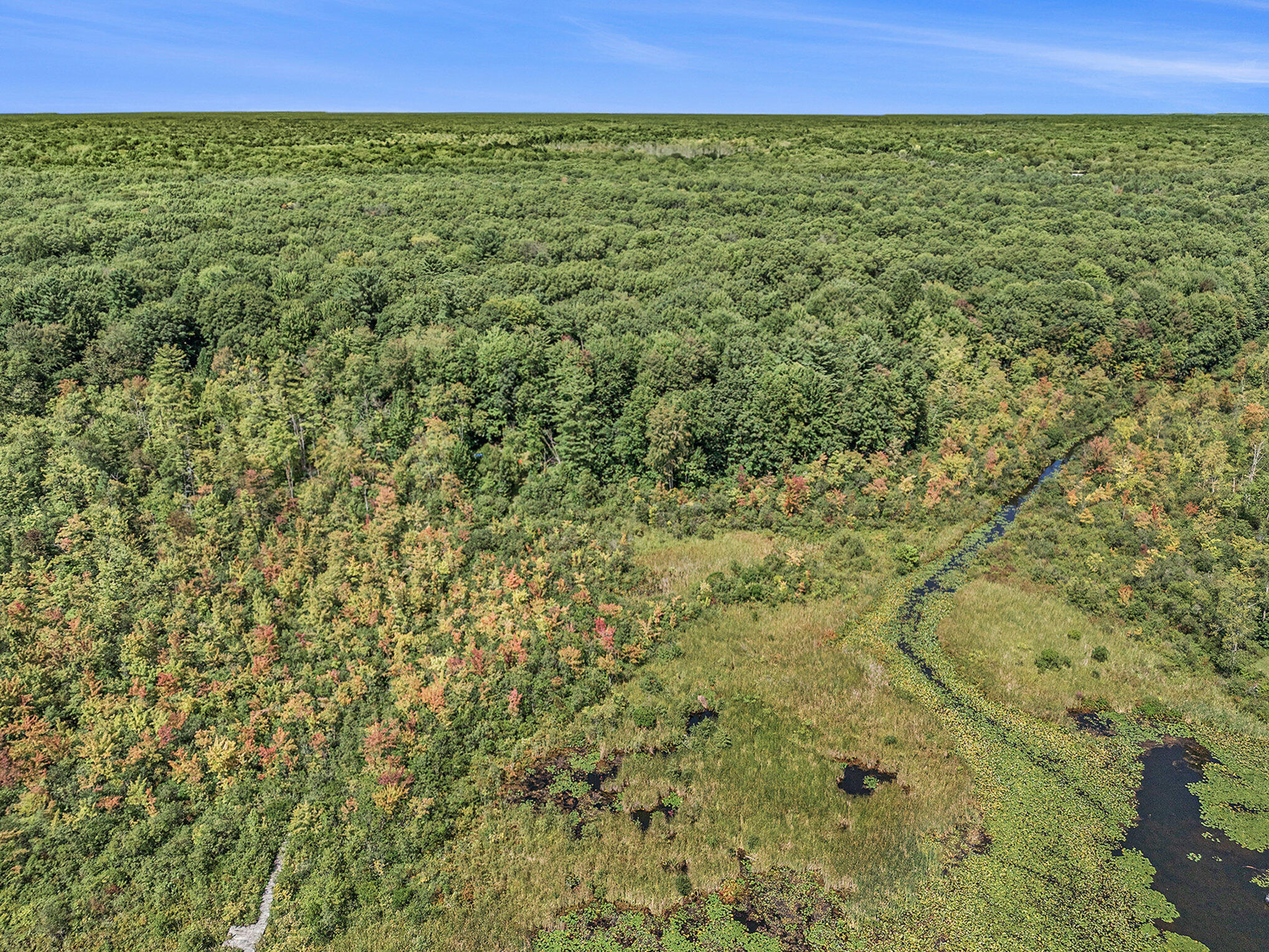 51957 Silver Lake Road Grand Junction, MI 49056 - Photo 2 of 20 007_photo_aug_21_2024_2_43_51_pm_3