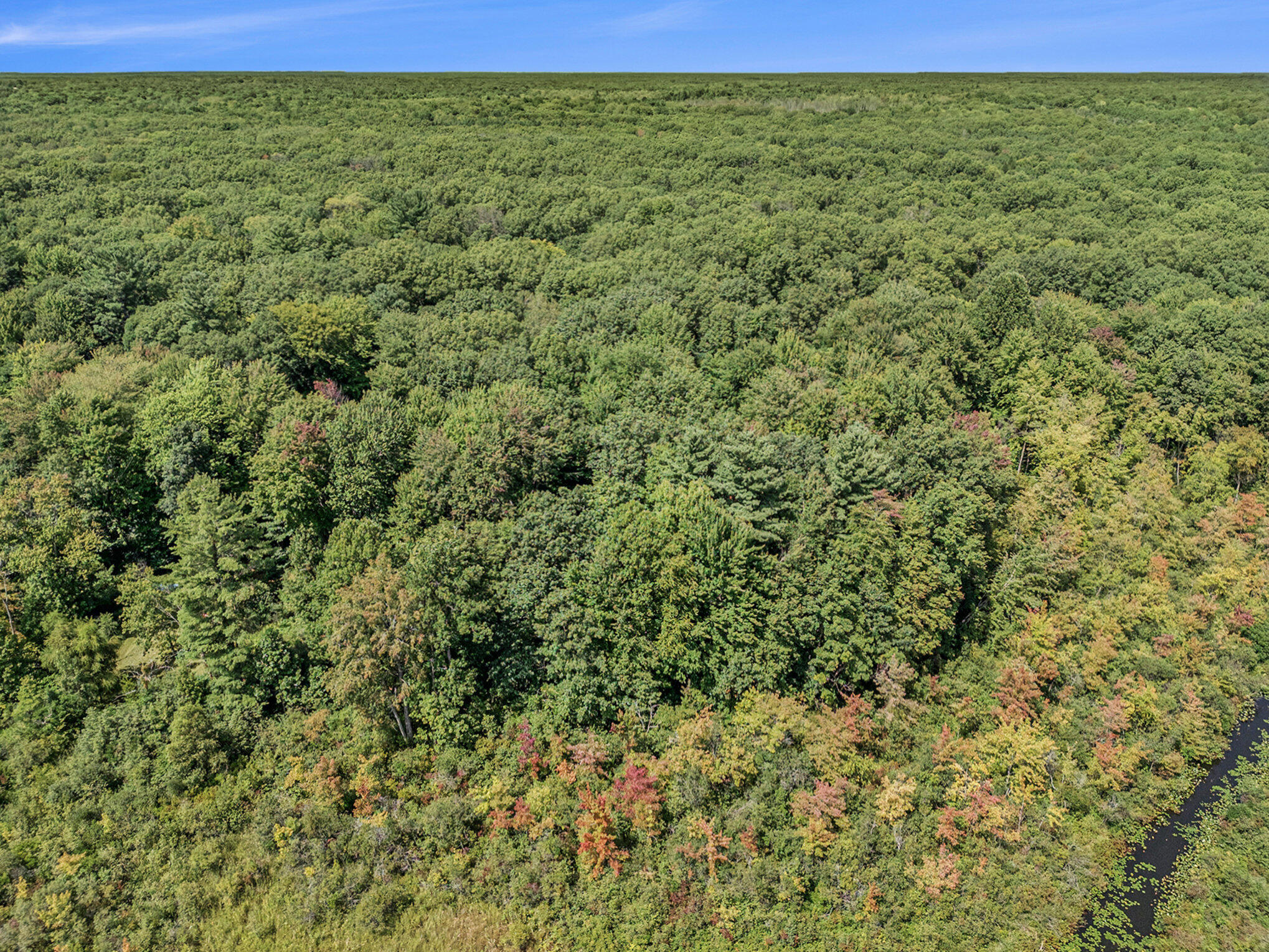 51957 Silver Lake Road Grand Junction, MI 49056 - Photo 3 of 20 006_photo_aug_21_2024_2_43_51_pm_2