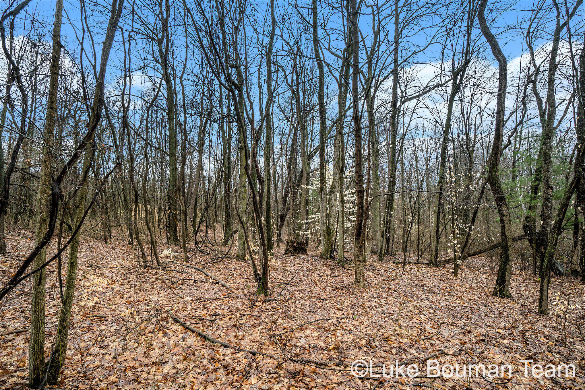 51957 Silver Lake Road Grand Junction, MI 49056 - Photo 5 of 20 DSC01450