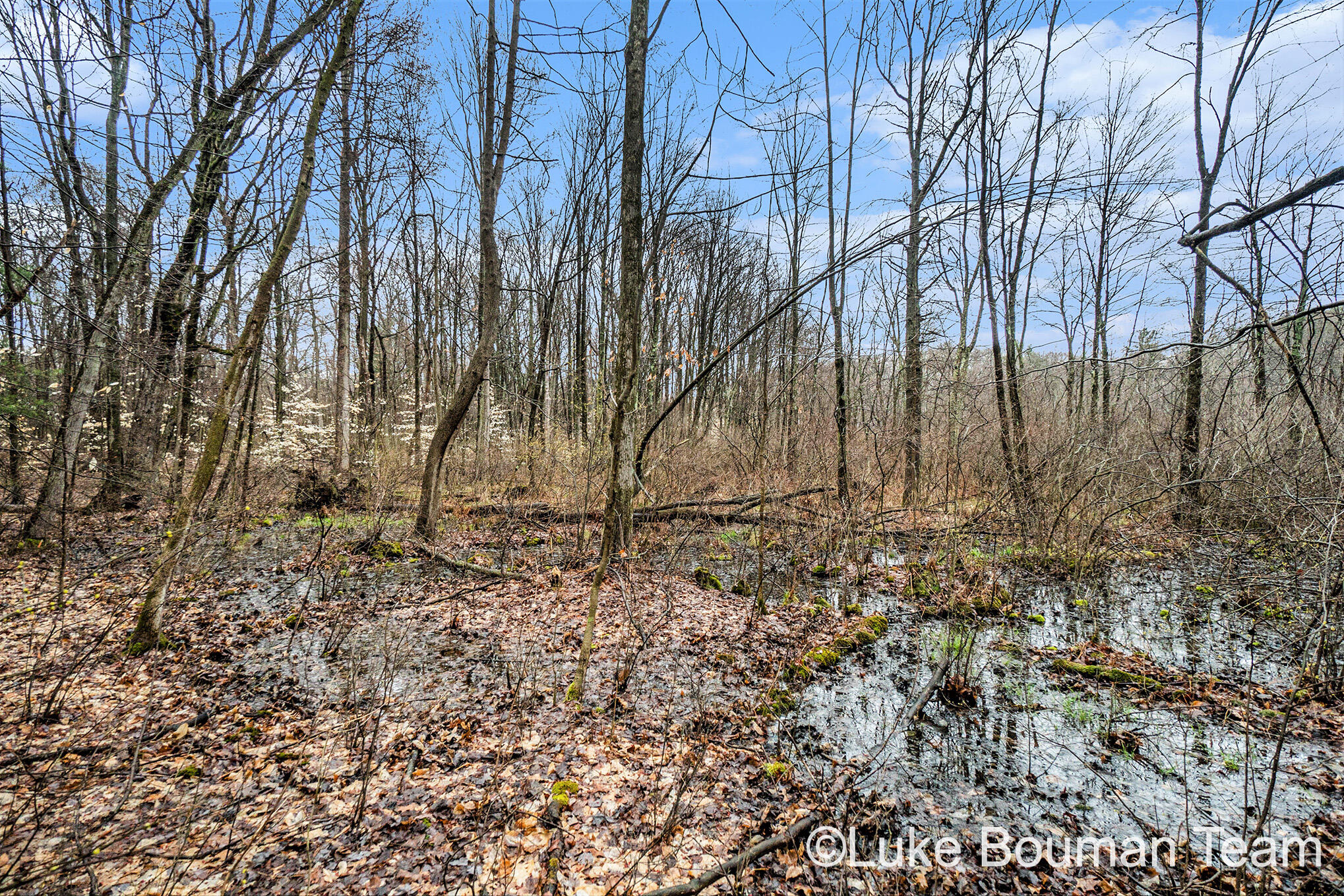 51957 Silver Lake Road Grand Junction, MI 49056 - Photo 6 of 20 DSC01453