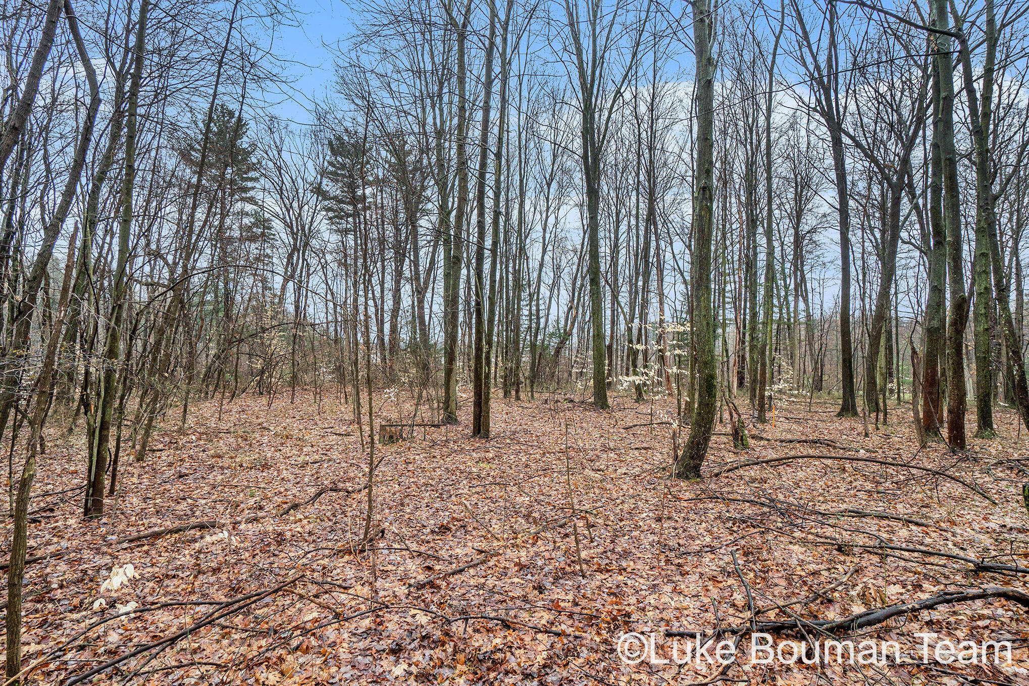 51957 Silver Lake Road Grand Junction, MI 49056 - Photo 10 of 20 DSC01448