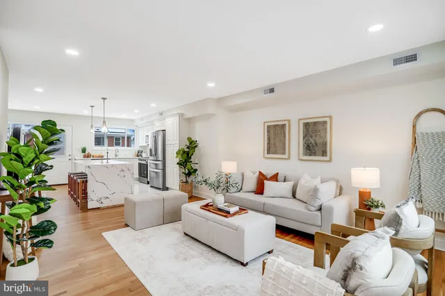 a living room with furniture potted plant and a lamp