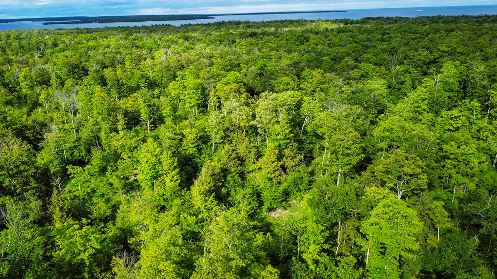 Tbd Lot3 Isle View Road Ellison Bay, WI 54210 - Photo 14 of 25 Gallery Image 14