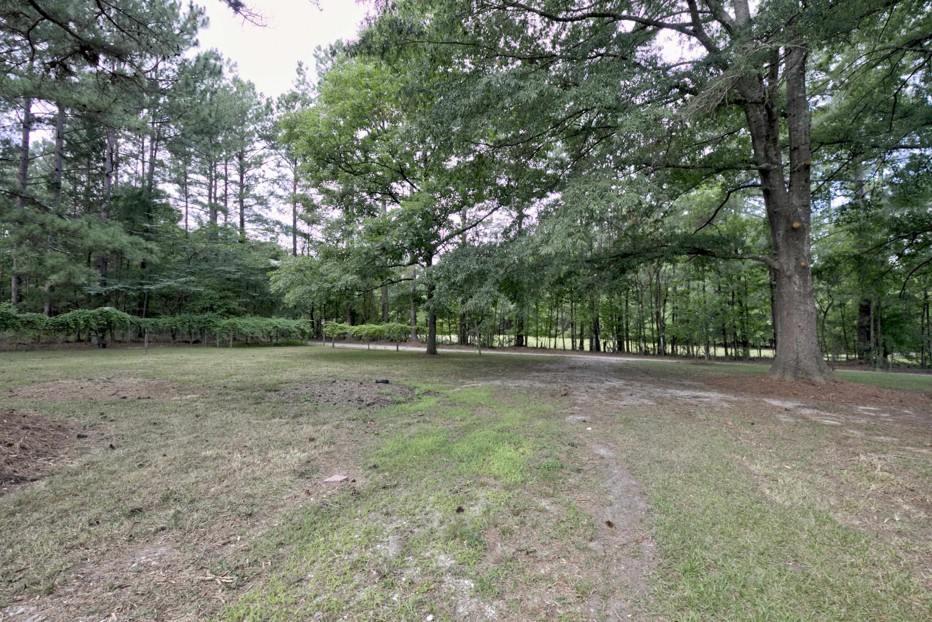 2737 Banks Road Raleigh, NC 27603 - Photo 31 of 48 Photo 31