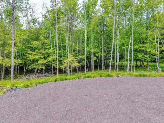 a view of a pathway in a garden