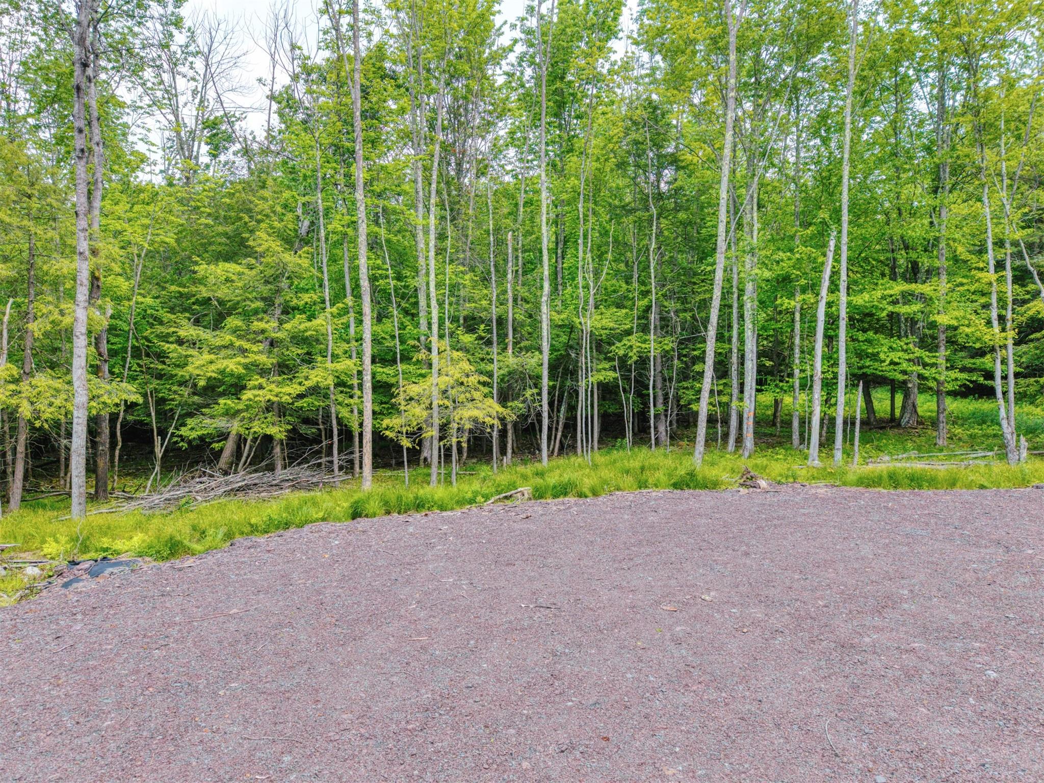 Tbd Boulder Brook Road Windham, NY 12496 - Photo 25 of 31 a view of a backyard with plants and palm trees