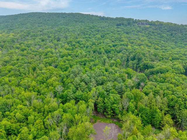a view of an lush green mountain