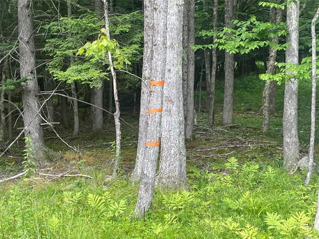 a view of an ocean from a yard