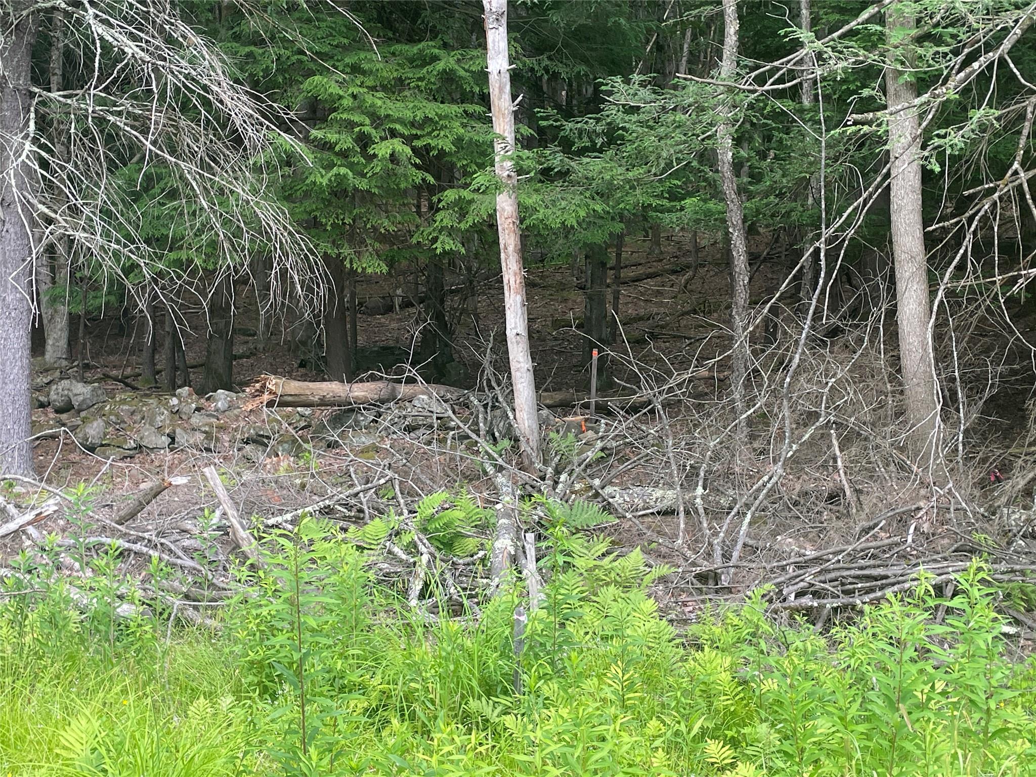 Tbd Boulder Brook Road Windham, NY 12496 - Photo 8 of 31 a view of a backyard
