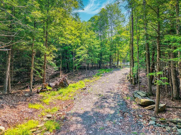 a view of outdoor space with trees