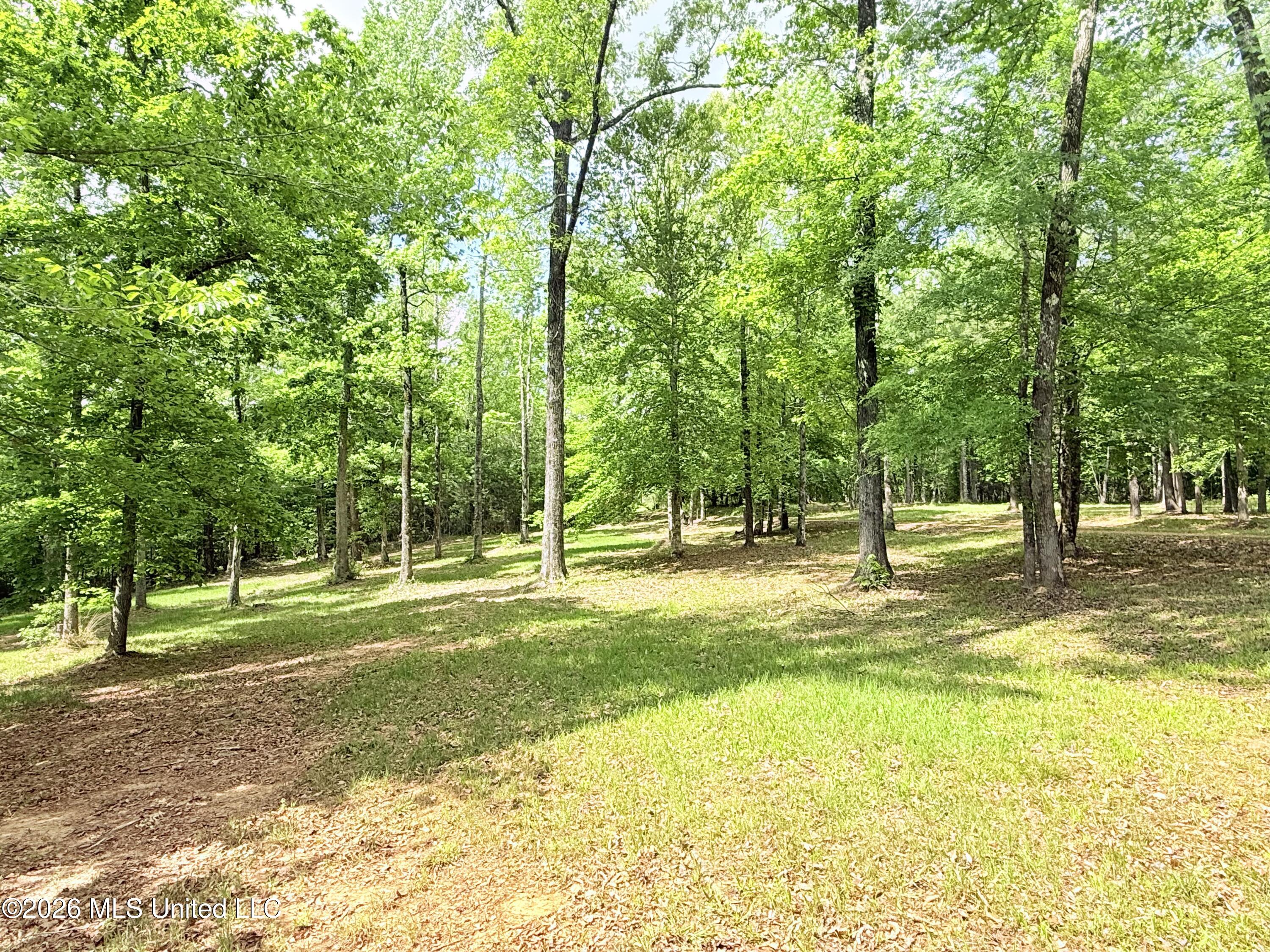 2808 Poplar Rdg Lane Northwest Brookhaven, MS 39601 - Photo 44 of 105 IMG_5640