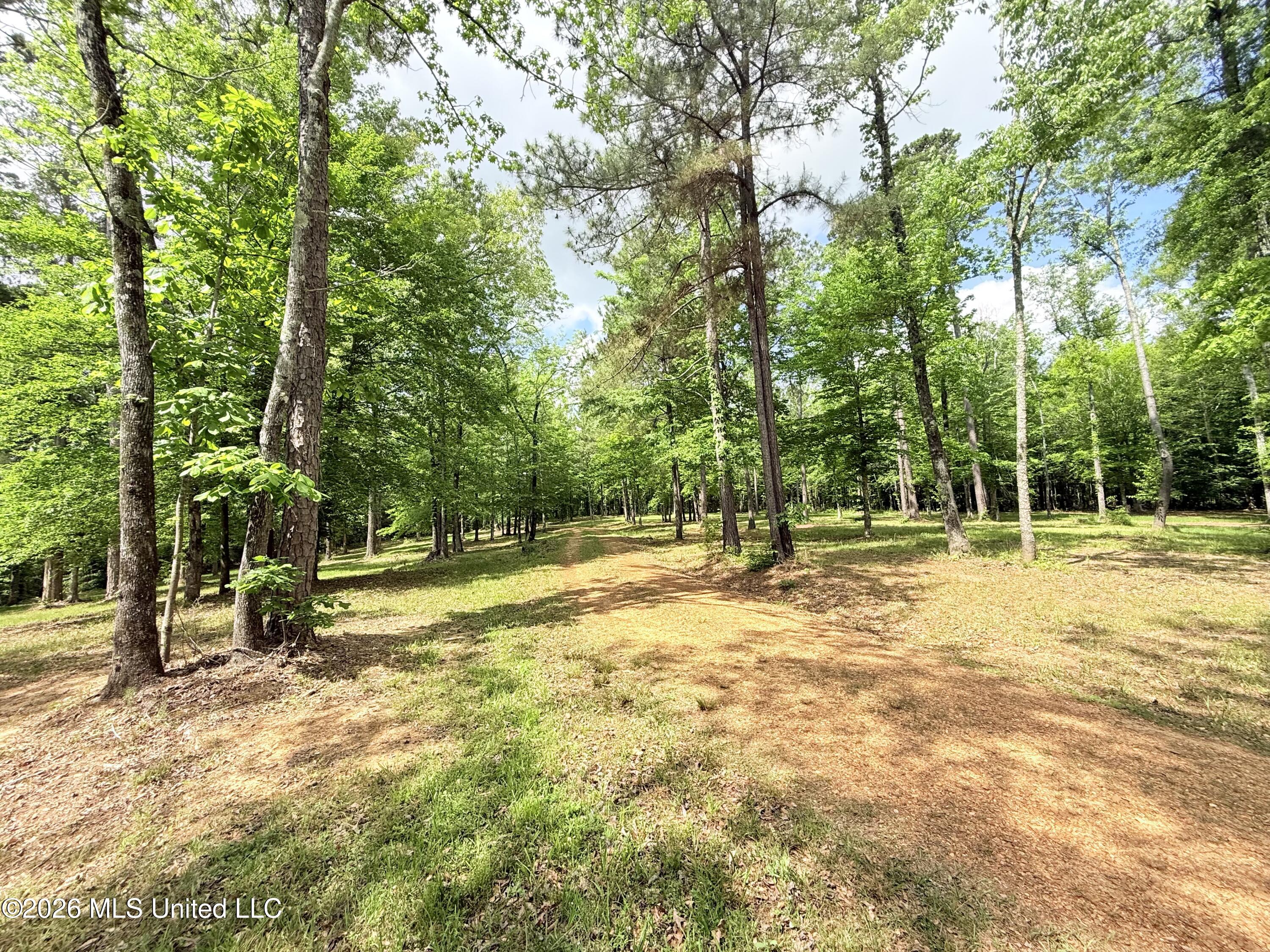 2808 Poplar Rdg Lane Northwest Brookhaven, MS 39601 - Photo 45 of 105 IMG_5638