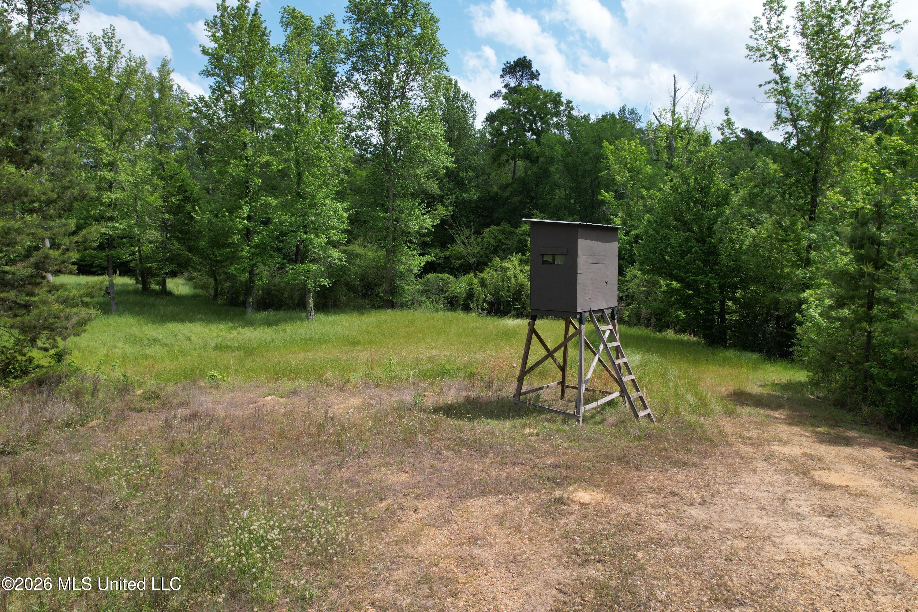 2808 Poplar Rdg Lane Northwest Brookhaven, MS 39601 - Photo 50 of 105 DJI_0920