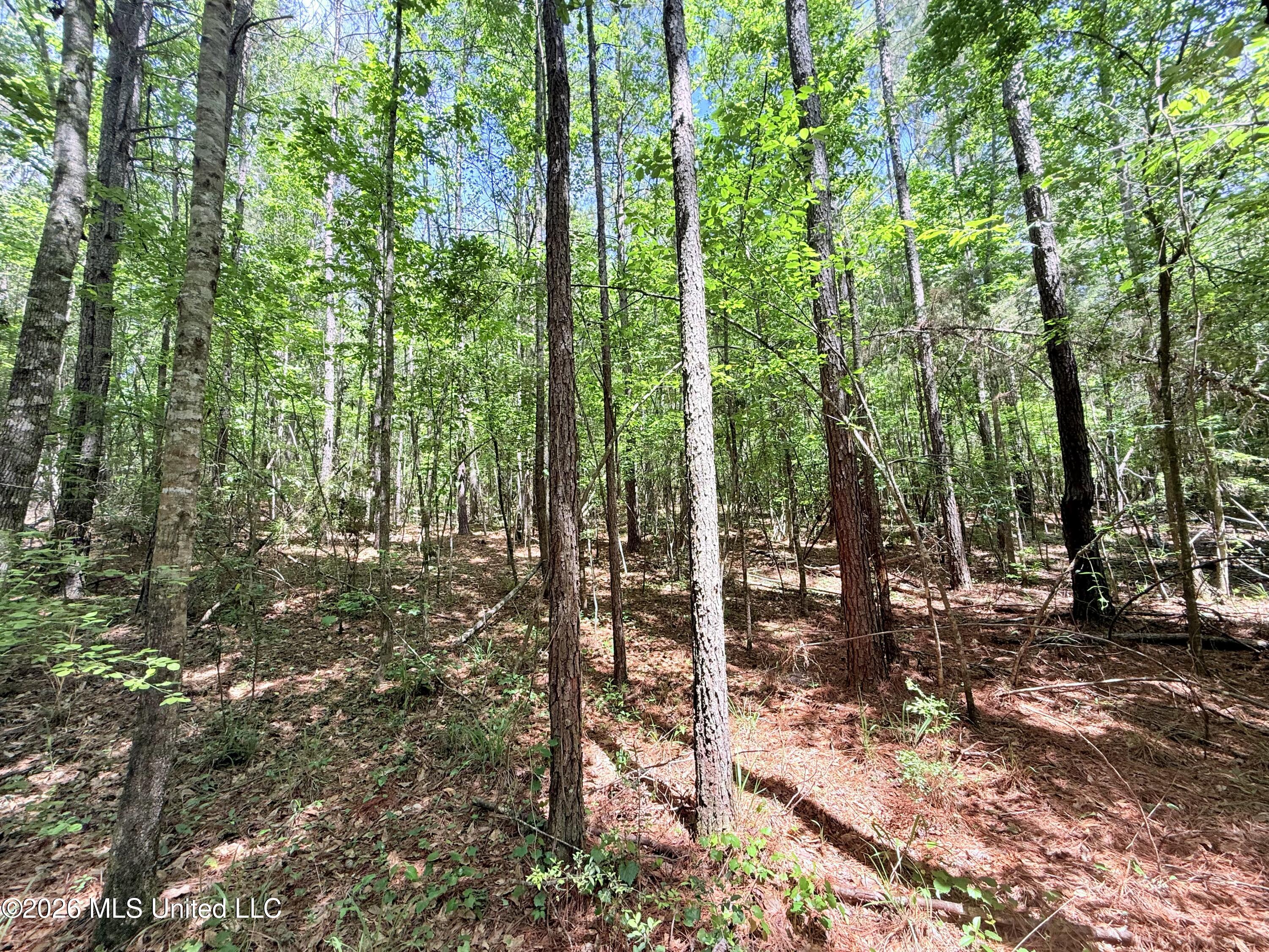 2808 Poplar Rdg Lane Northwest Brookhaven, MS 39601 - Photo 67 of 105 IMG_5763