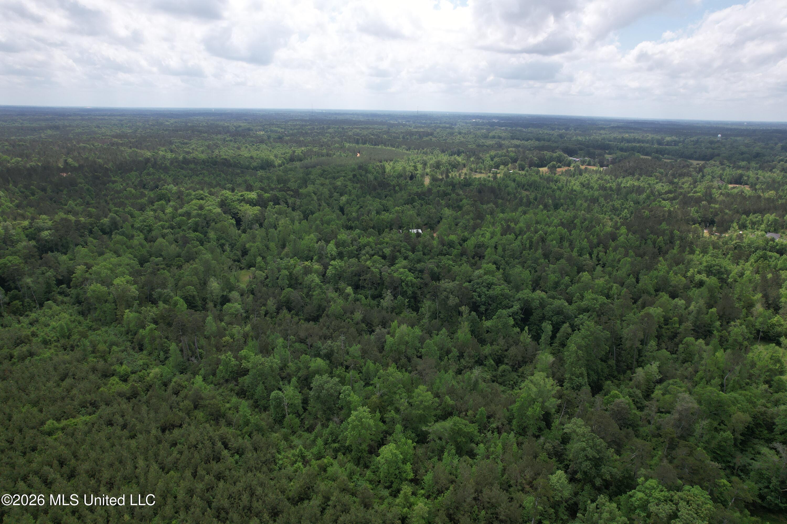 2808 Poplar Rdg Lane Northwest Brookhaven, MS 39601 - Photo 88 of 105 DJI_0911