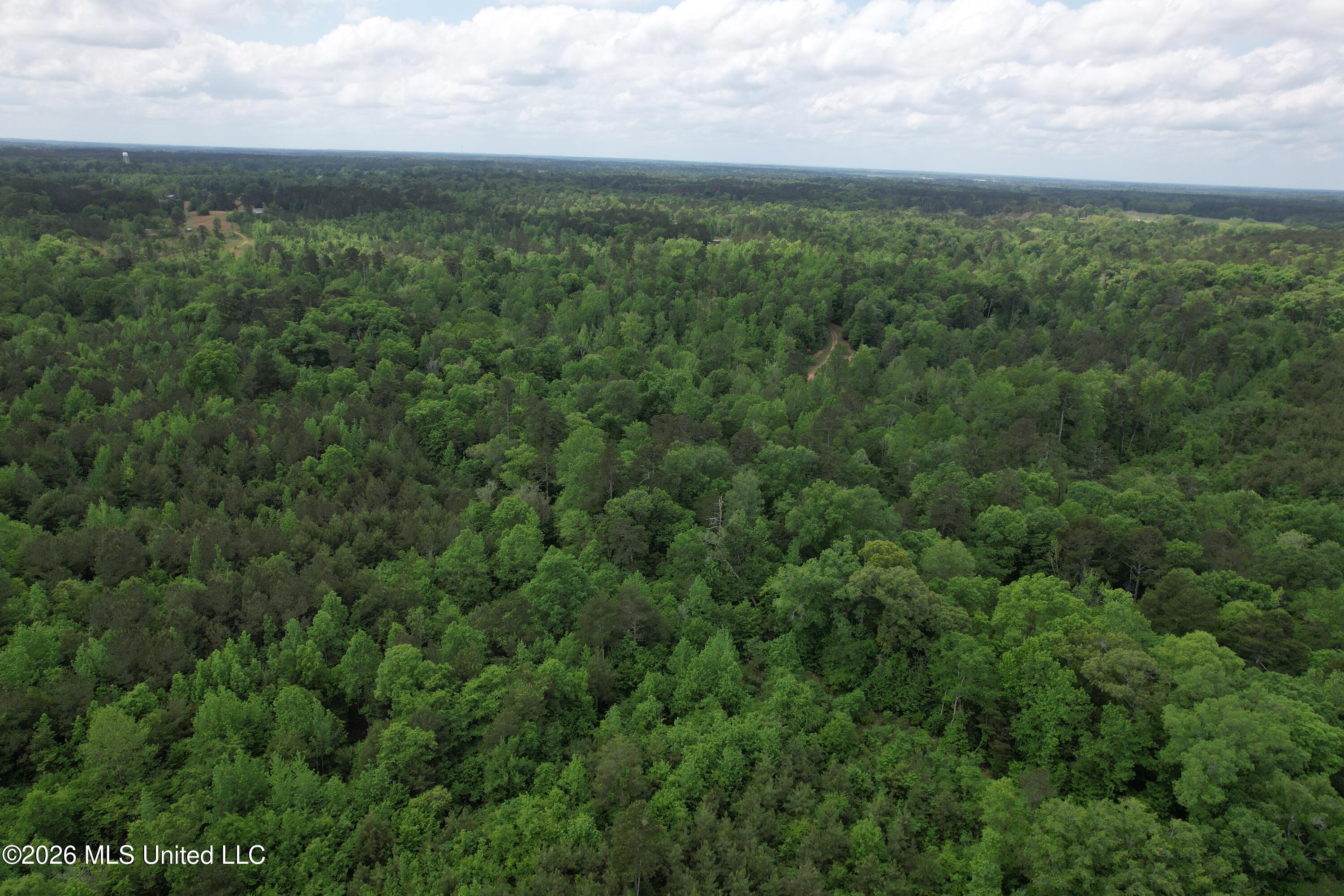 2808 Poplar Rdg Lane Northwest Brookhaven, MS 39601 - Photo 89 of 105 DJI_0922