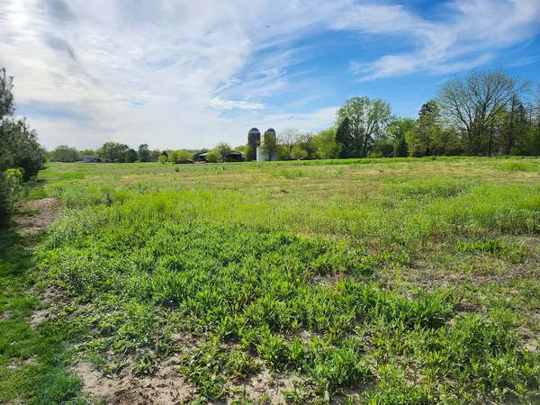 a view of a green field