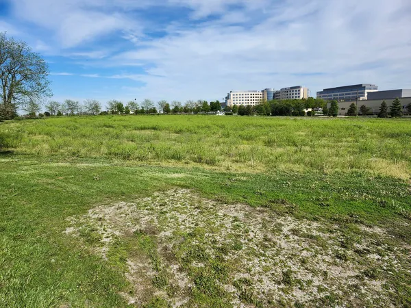 a view of a green field with clear sky