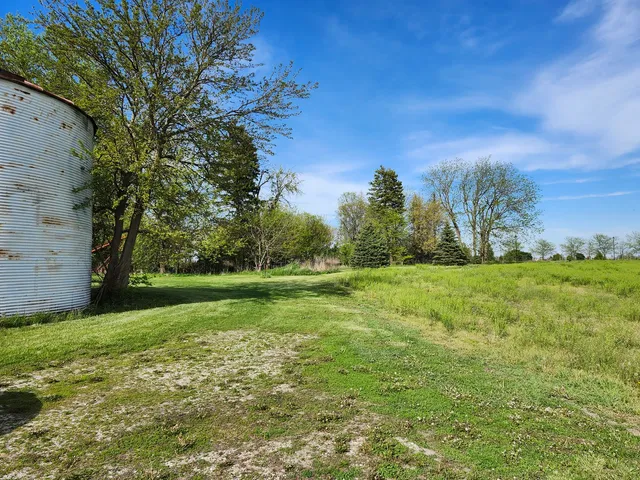 a view of grassy field with trees