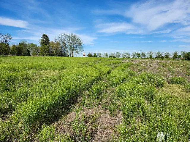 a view of a lush green space with sea