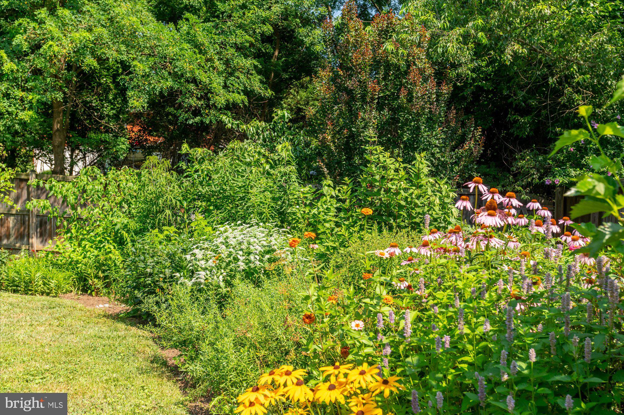 11201 Lombardy Road Silver Spring, MD 20901 - Photo 31 of 31 a view of a garden