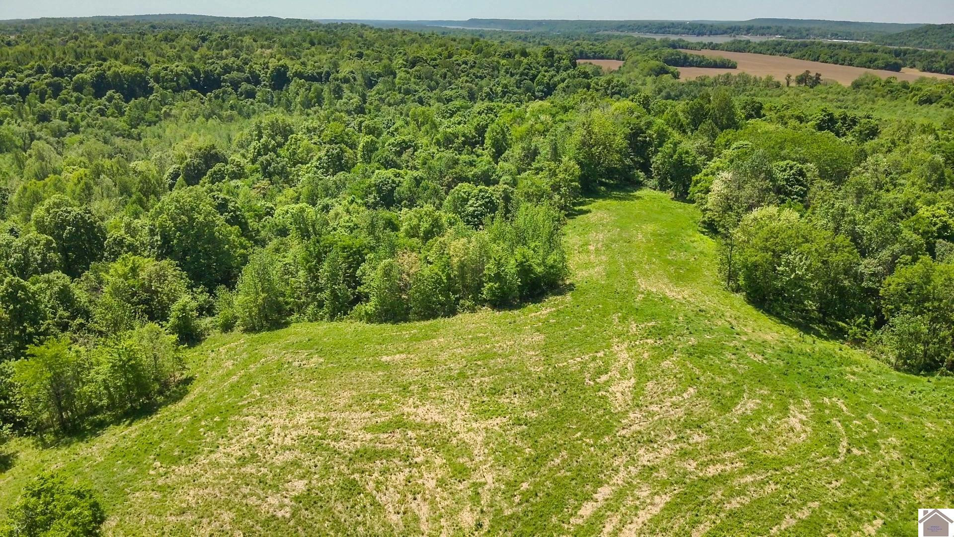 0 River Road Smithland, KY 42081 - Photo 5 of 13 Photo 5