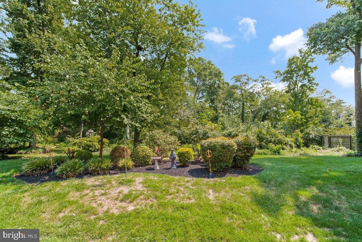 6233 Medora Road Linthicum Heights, MD 21090 - Photo 48 of 58 So much to explore in the back yard!