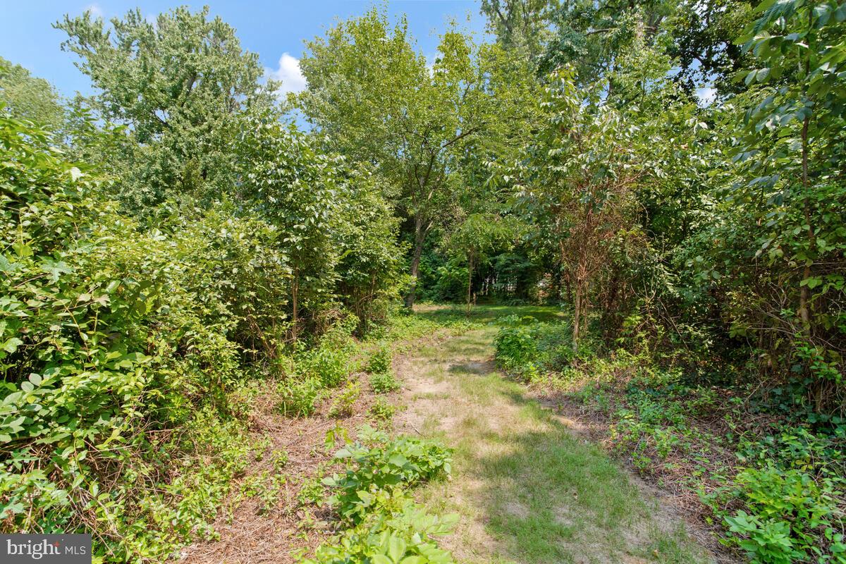 6233 Medora Road Linthicum Heights, MD 21090 - Photo 50 of 58