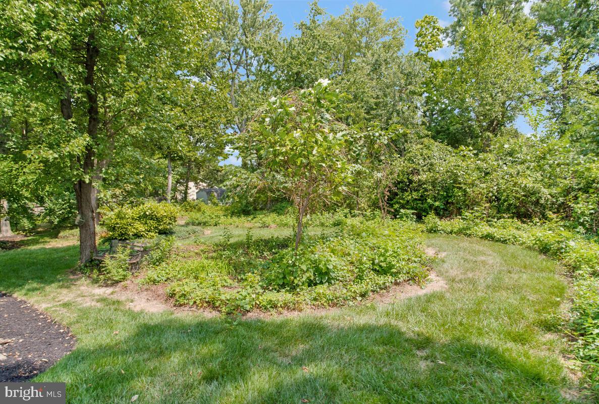 6233 Medora Road Linthicum Heights, MD 21090 - Photo 51 of 58