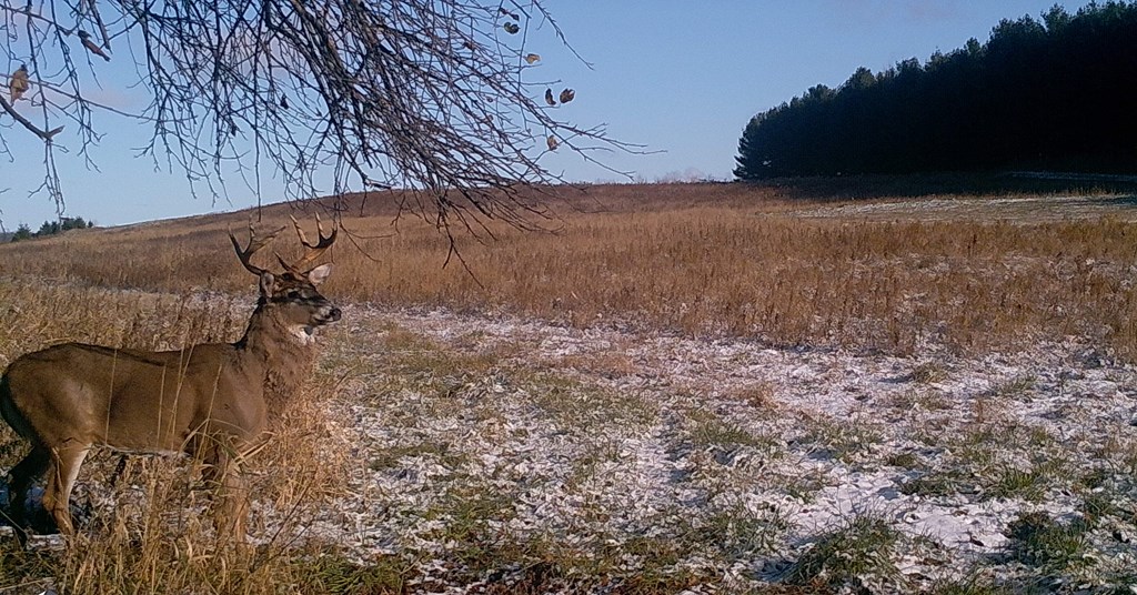 East Center Road Forestville, WI 54213 - Photo 15 of 15