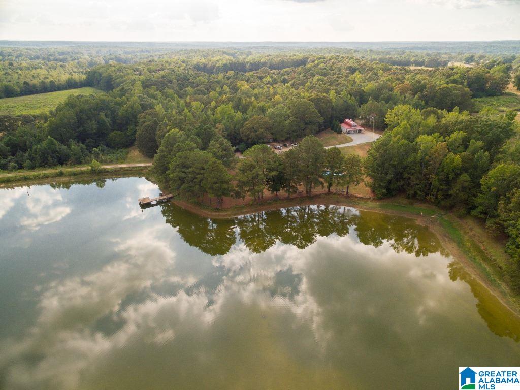 2307 County Road 46 Montevallo, AL 35115 - Photo 37 of 45