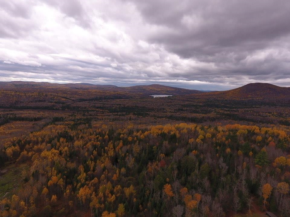 Oregon Road Lunenburg, VT 05906 - Photo 7 of 11