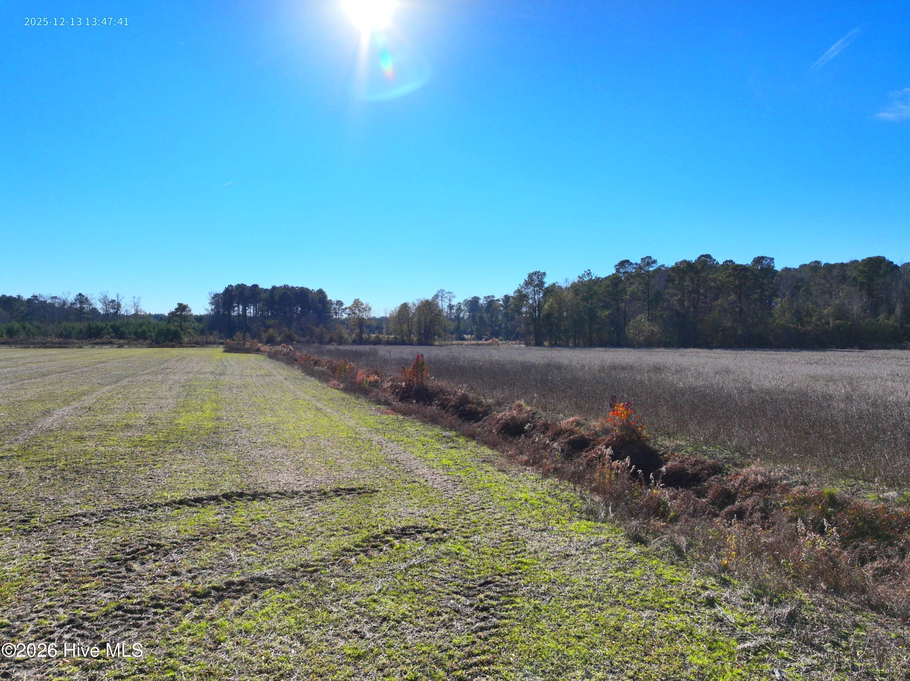 15.63 Croomsbridge Road Burgaw, NC 28425 - Photo 5 of 13 Copy of DJI_20251213134741_0037_V