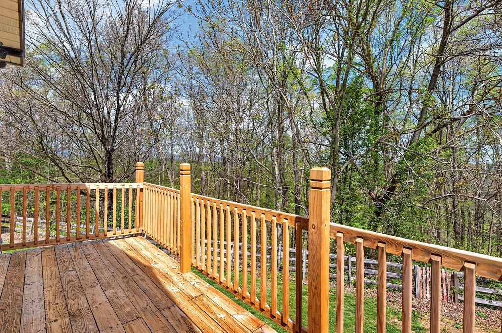 11527 Lindell Road Meadowview, VA 24361 - Photo 13 of 63 Gallery Image 13
