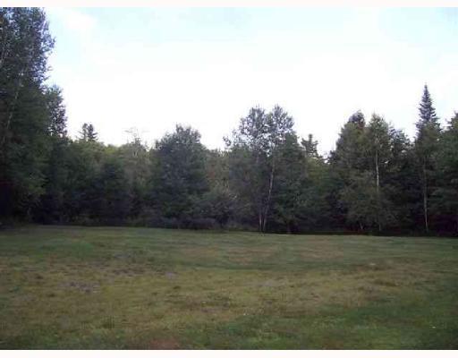 574 Town Road Lagrange, ME 04453 - Photo 7 of 7 Yard/Garden.