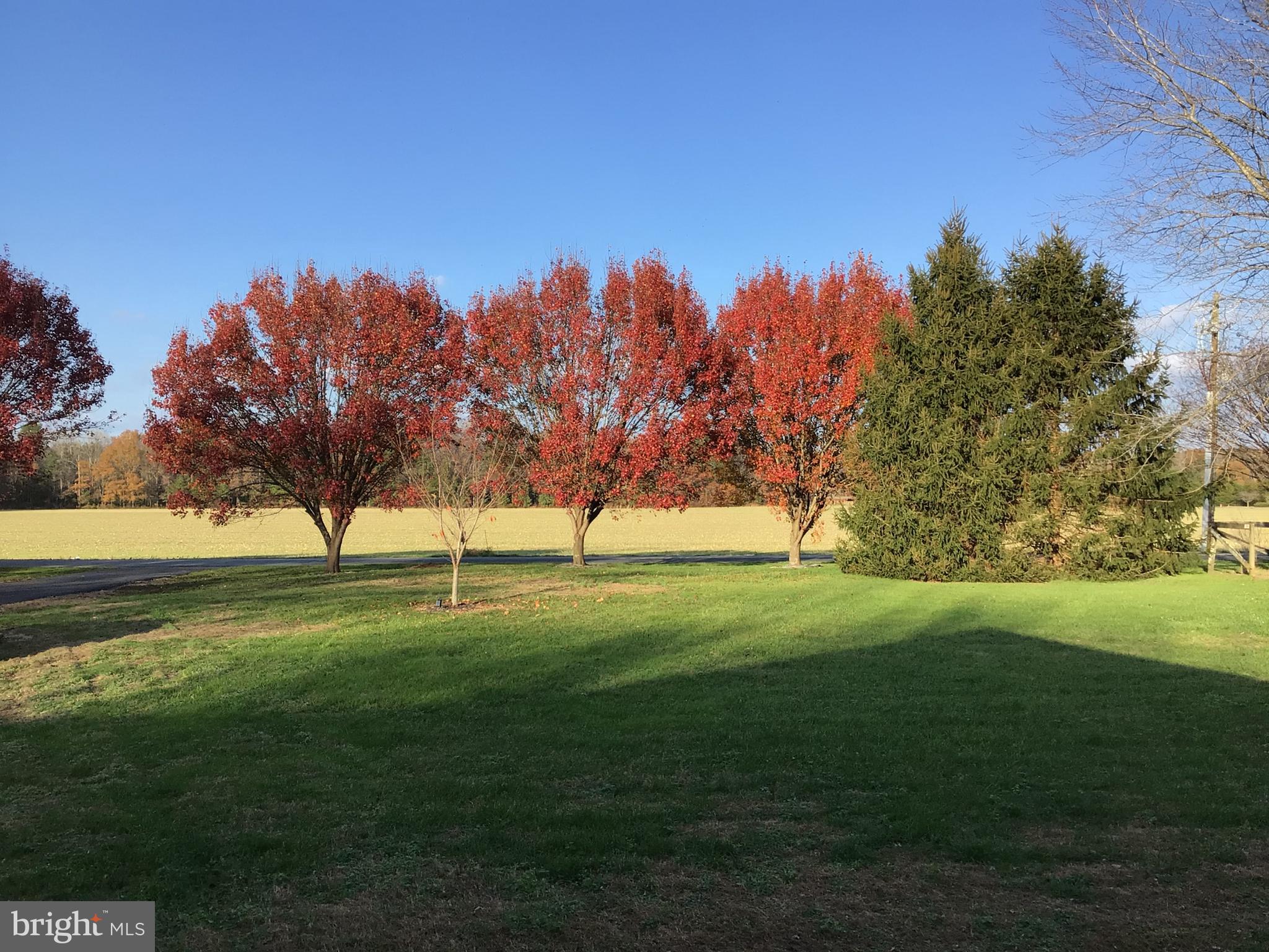 28736 Stockley Road Milton, DE 19968 - Photo 4 of 24