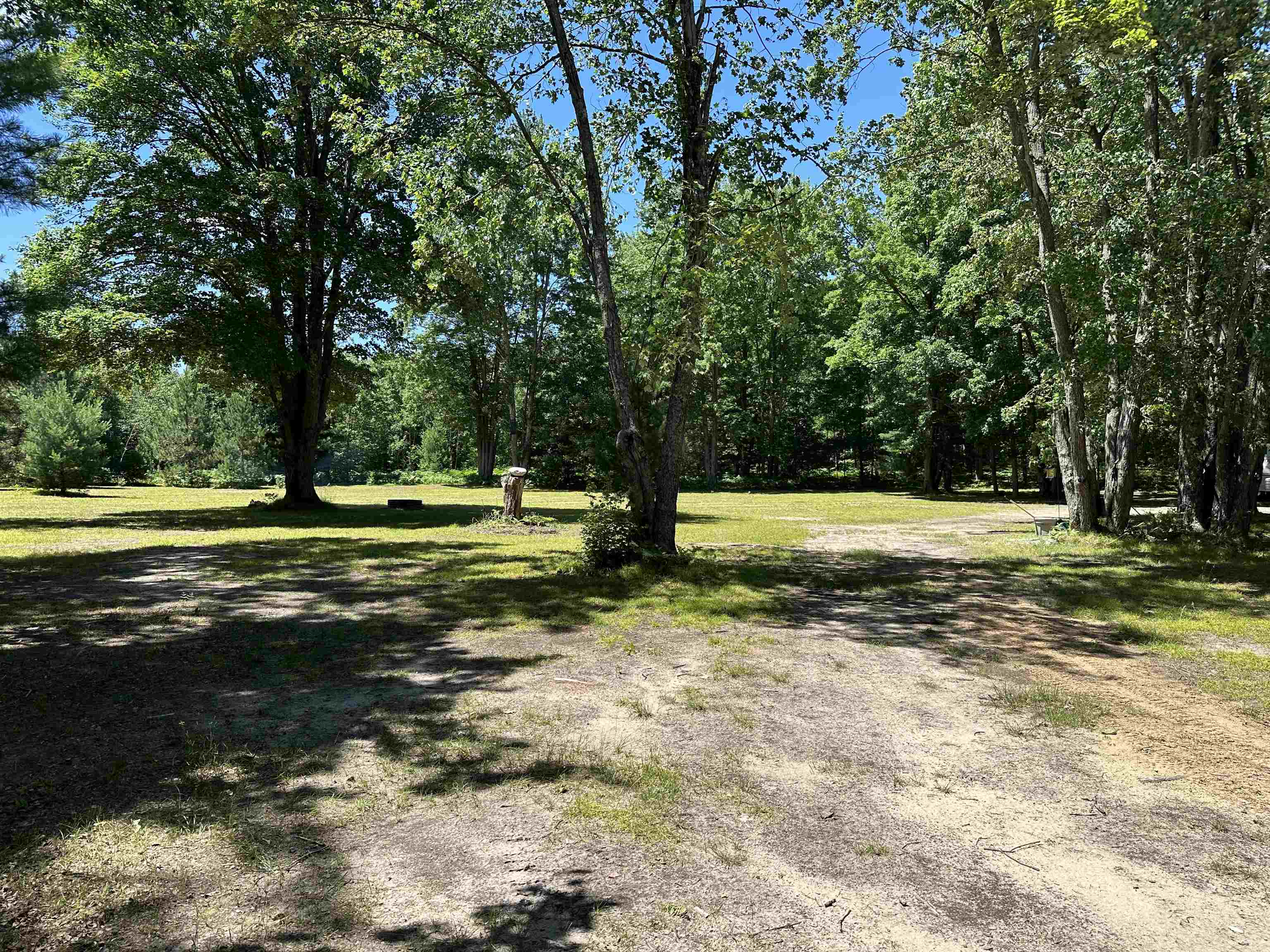 0 North Hodenpyl Dam Road Mesick, MI 49668 - Photo 4 of 11