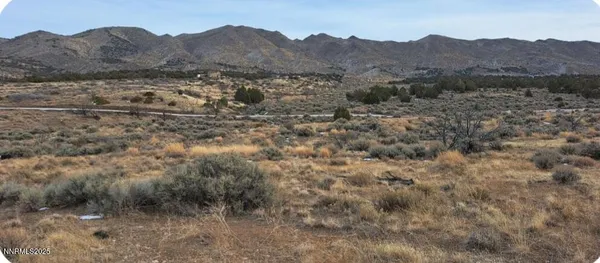 a view of a mountain in the distance