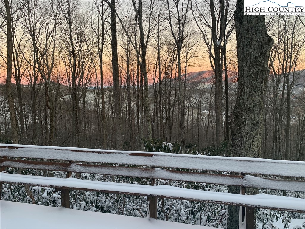 393 Trillium Ridge Boone, NC 28607 - Photo 2 of 50 a view of a park with trees