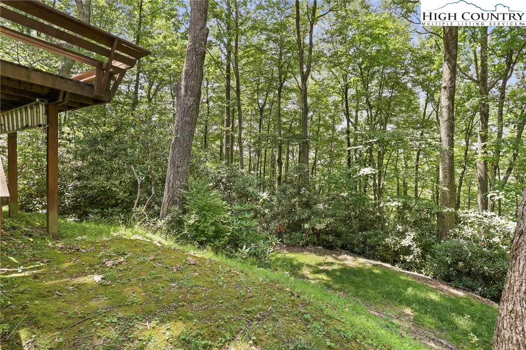 393 Trillium Ridge Boone, NC 28607 - Photo 49 of 50 a view of outdoor space and garden