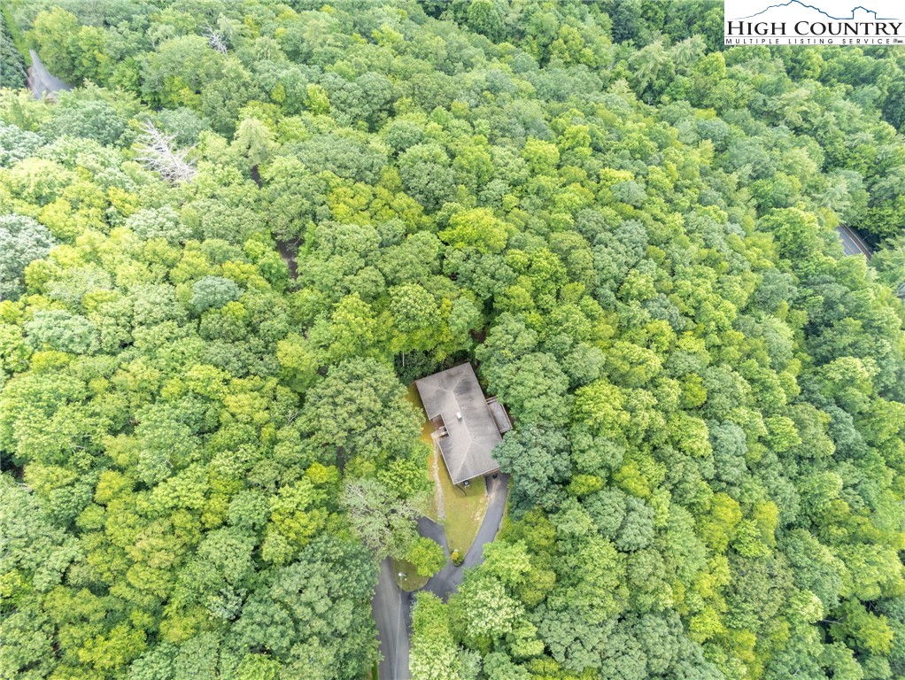 393 Trillium Ridge Boone, NC 28607 - Photo 50 of 50 a view of a yard with a tree