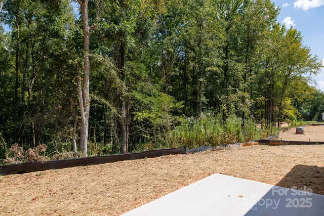 a view of a yard with plants and trees