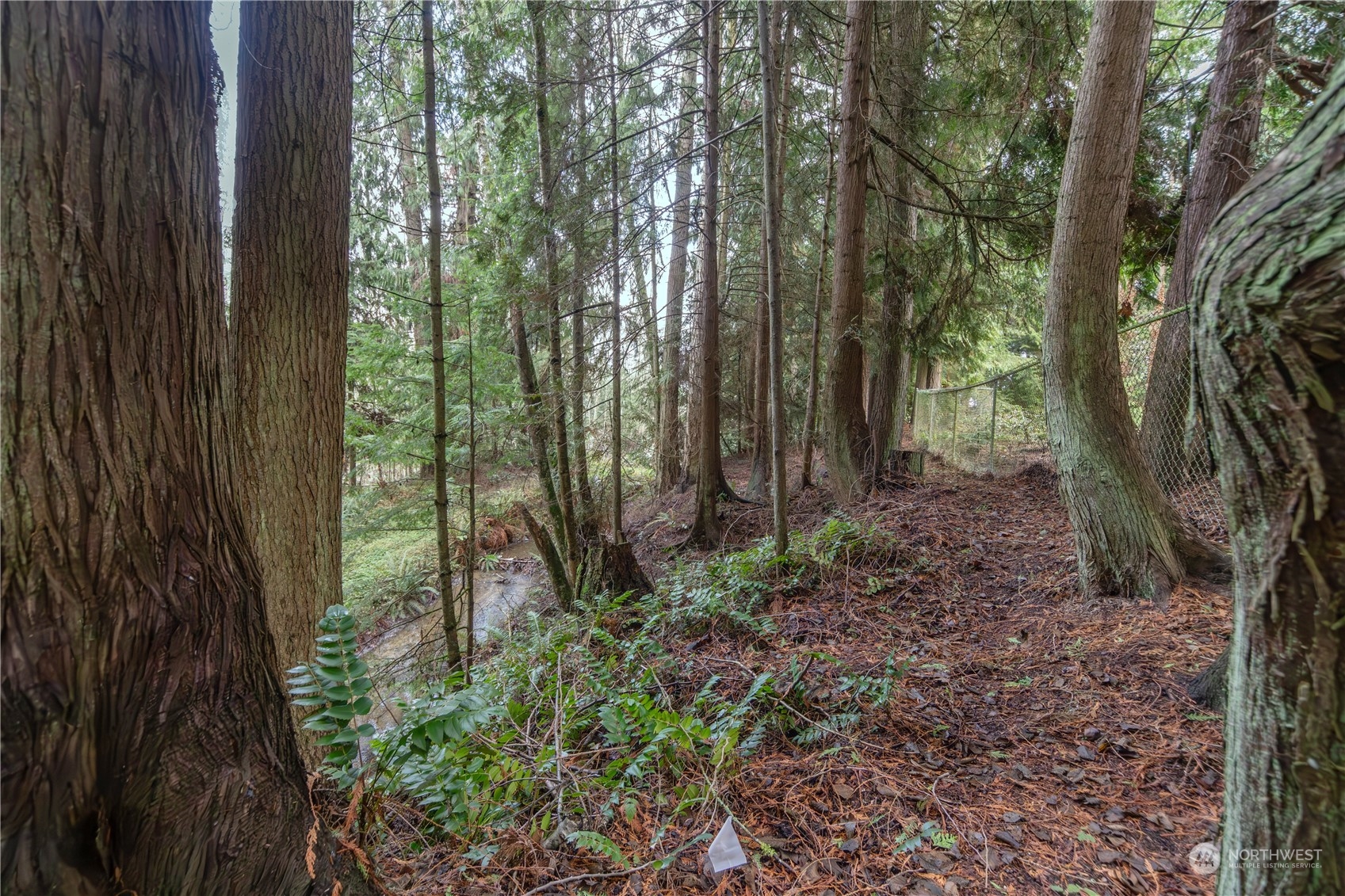 1036 Hooker Road Sequim, WA 98382 - Photo 28 of 40