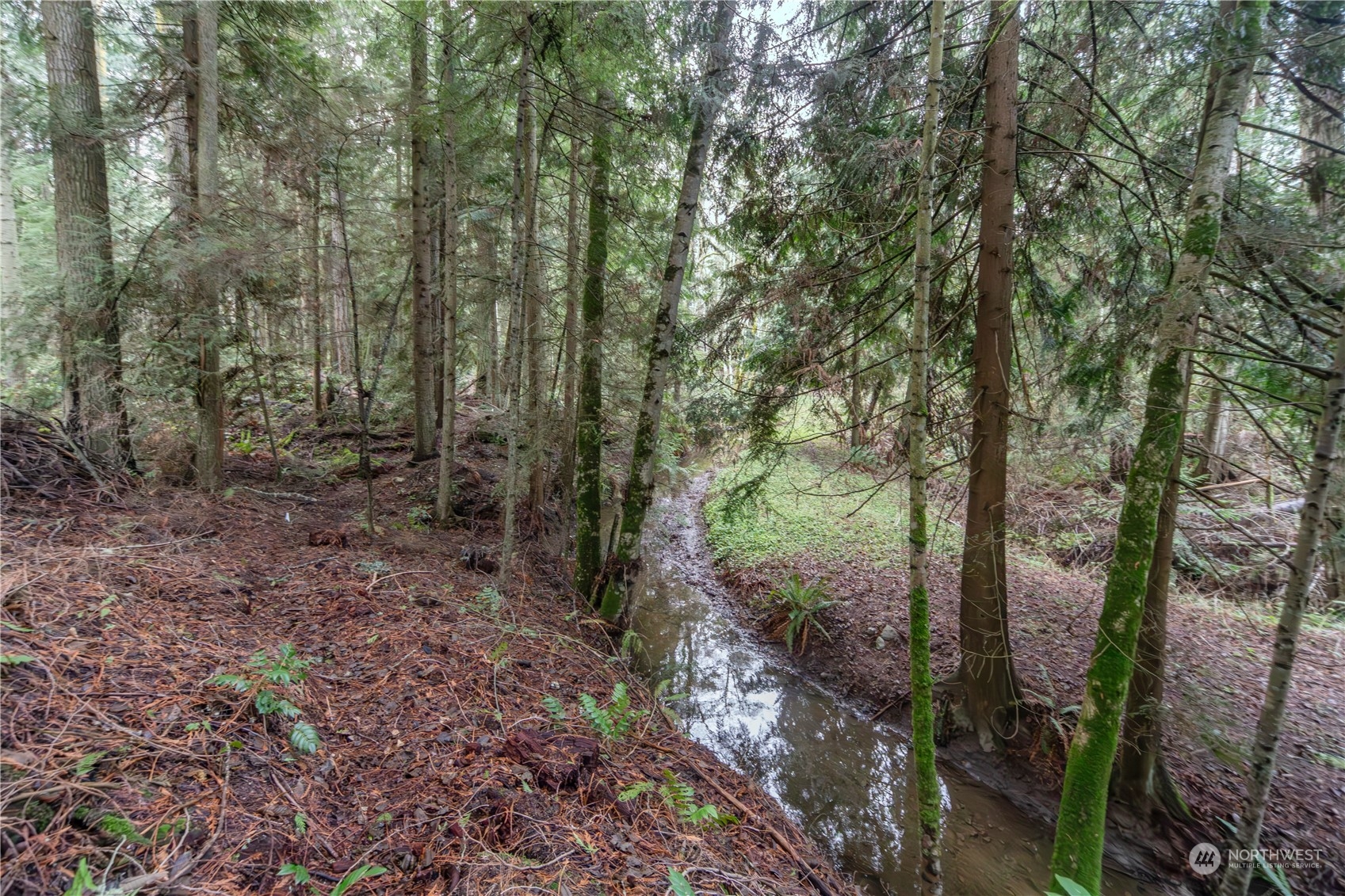 1036 Hooker Road Sequim, WA 98382 - Photo 29 of 40