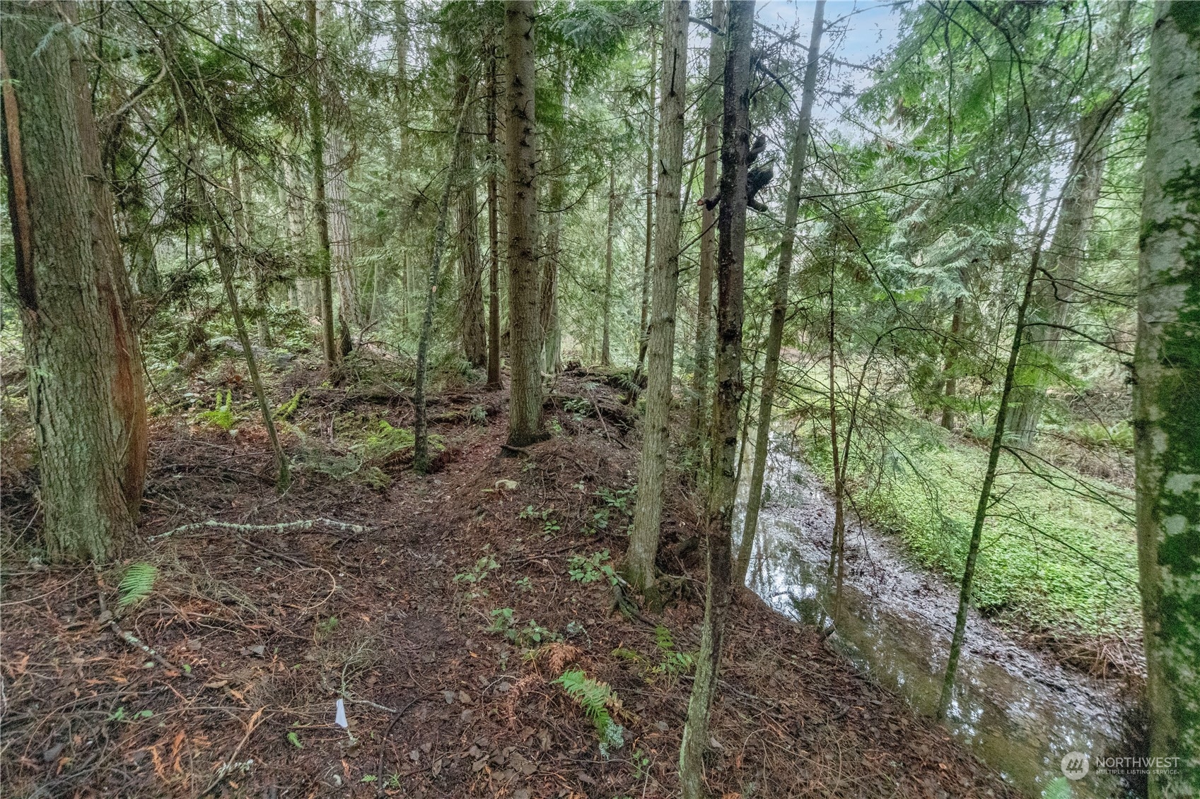 1036 Hooker Road Sequim, WA 98382 - Photo 30 of 40