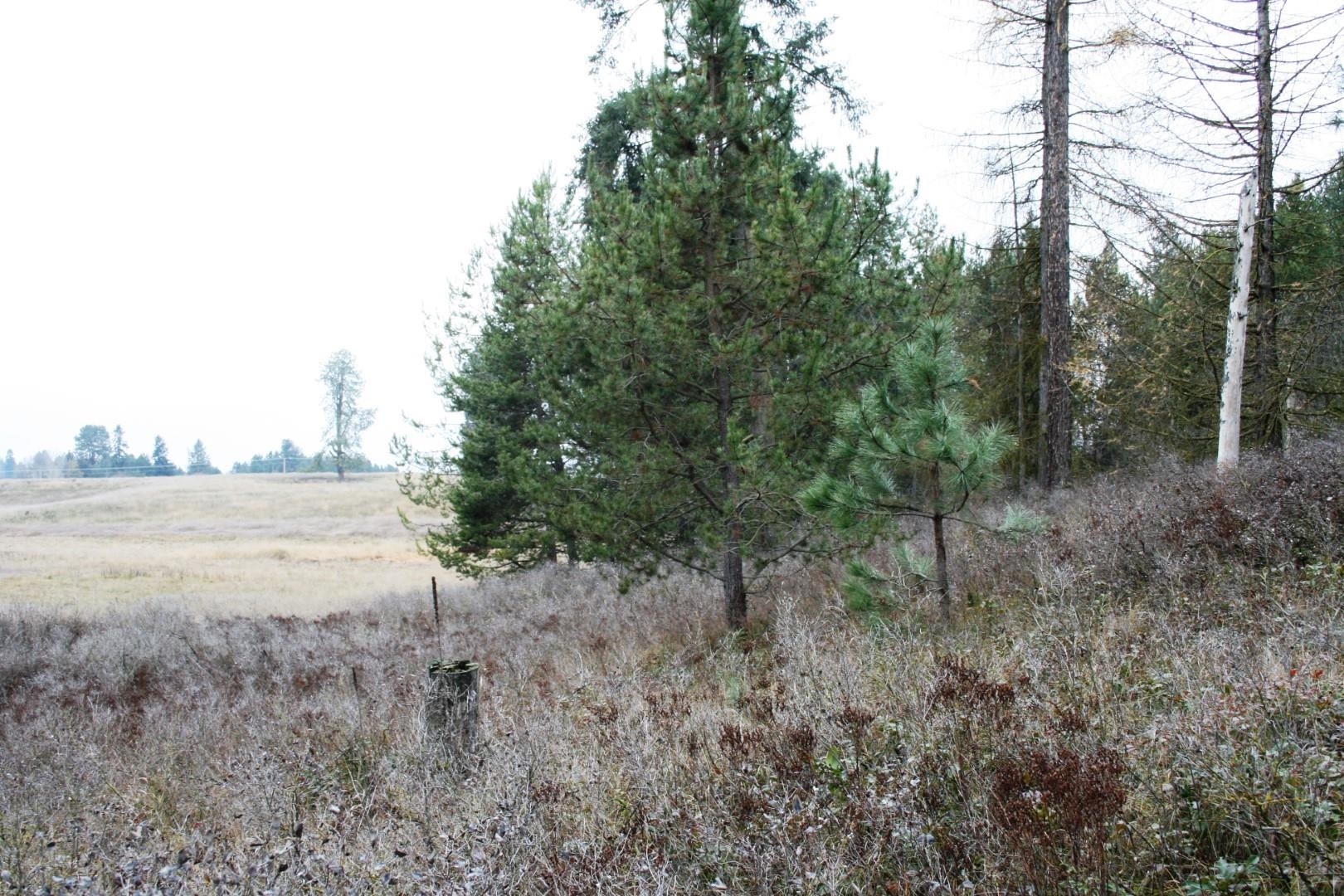 0 West Dahl Road Deer Park, WA 99006 - Photo 5 of 6