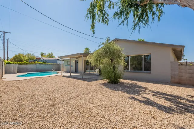 a view of a backyard with a tree