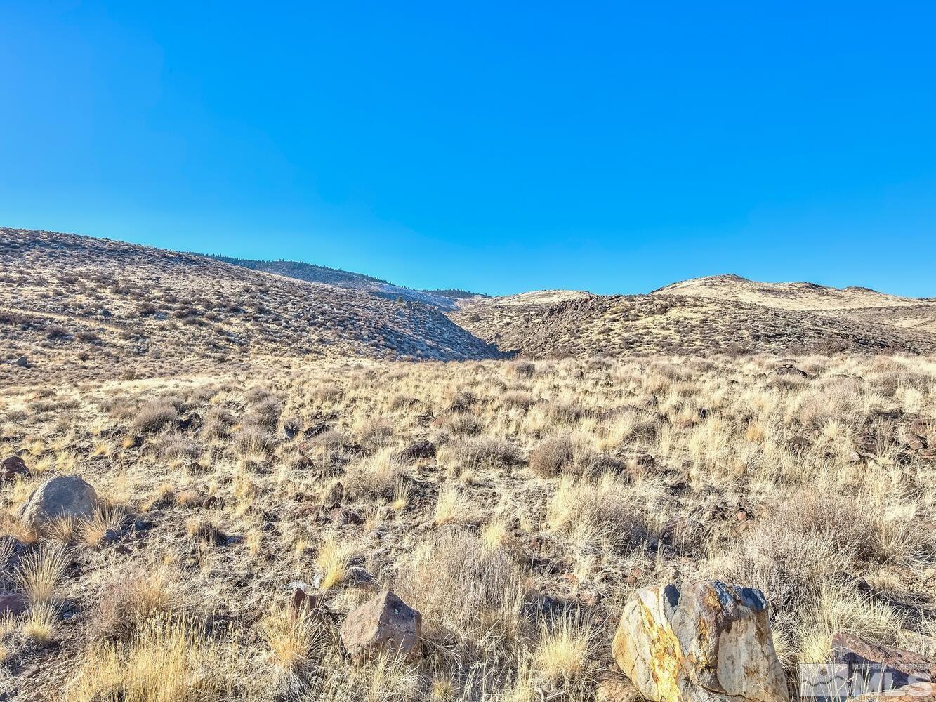 4195 Drop Tine Reno, NV 89511 - Photo 8 of 23 Photo 8