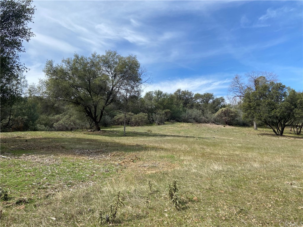 a view of a field with trees