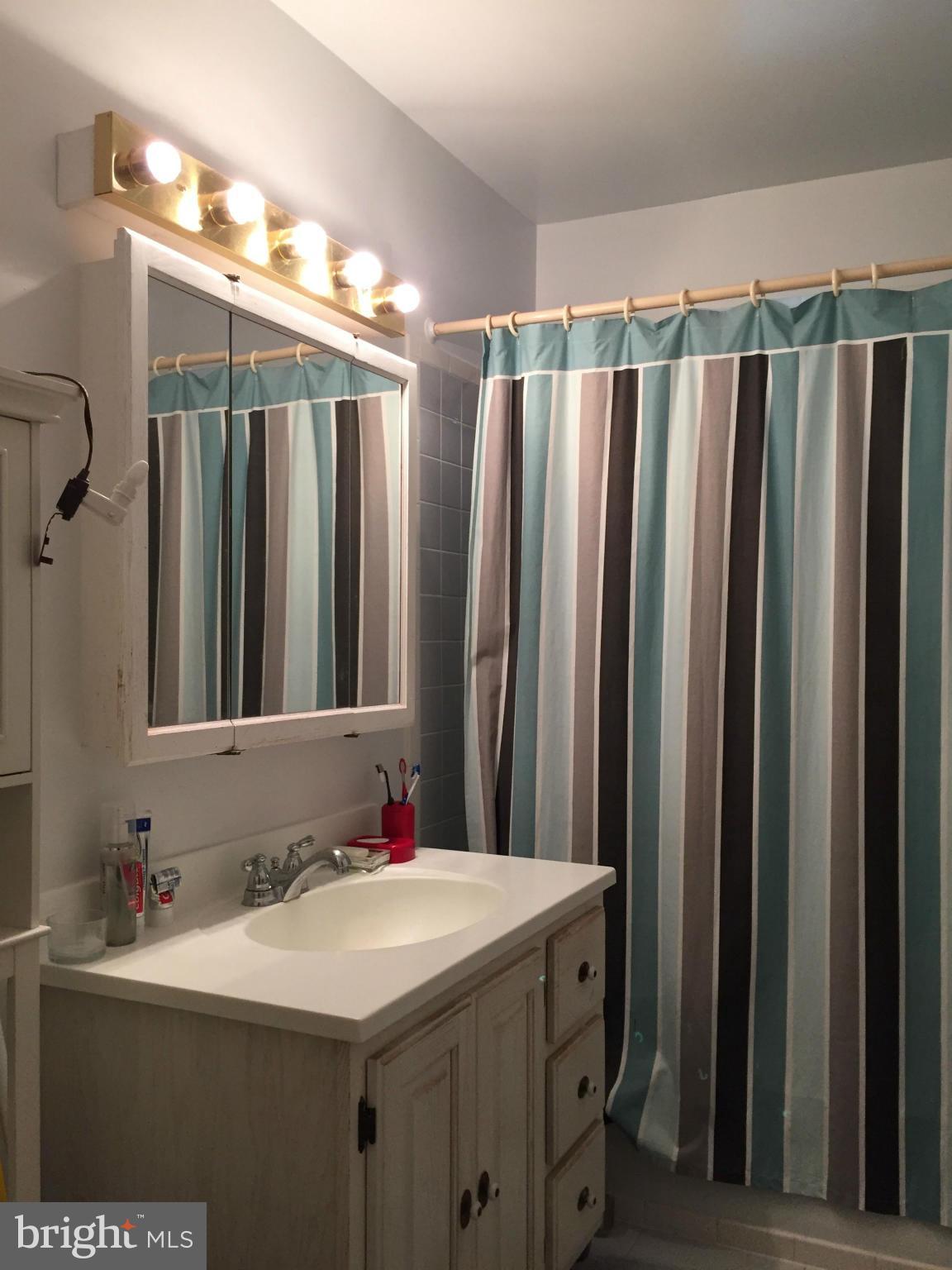 4010 Arcadia Road Alexandria, VA 22312 - Photo 12 of 15 Bath